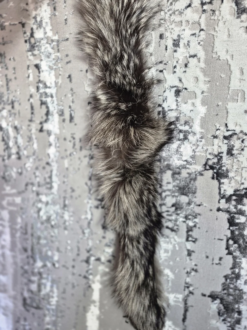 Luxury F Fur Collar in Taupe 31 Inch Collar With Snap buttons
